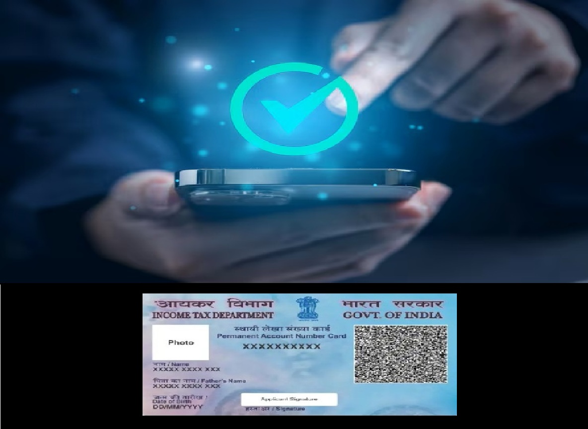 PAN Verification API